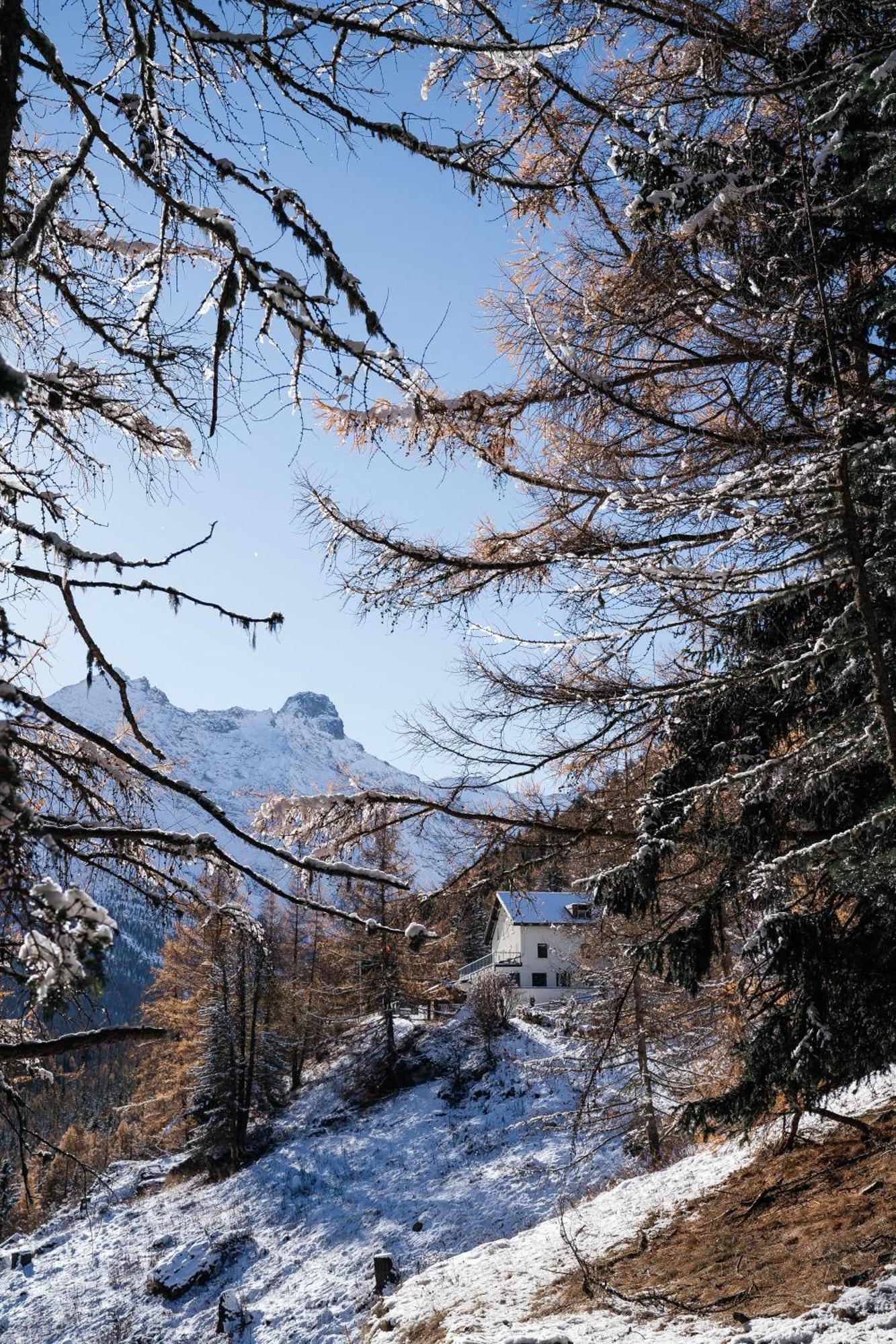 Waldhotel Fletschhorn Panoramic Retreat In Saas Fee Exterior foto