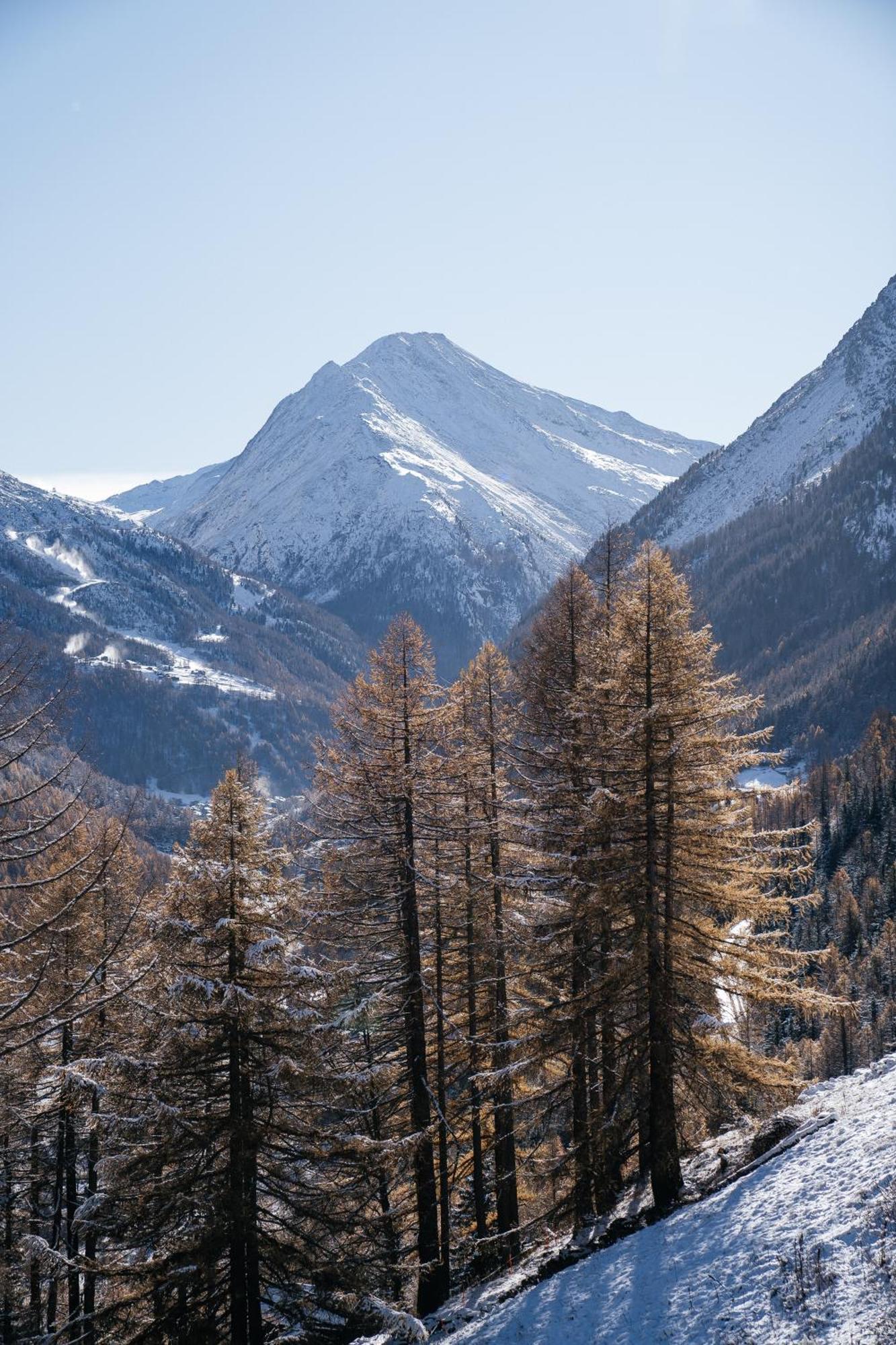 Waldhotel Fletschhorn Panoramic Retreat In Saas Fee Exterior foto