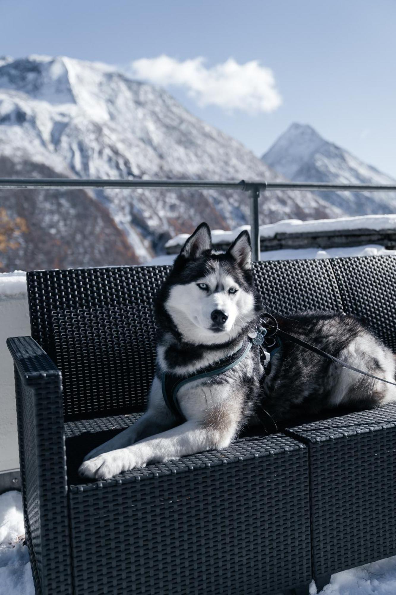 Waldhotel Fletschhorn Panoramic Retreat In Saas Fee Exterior foto